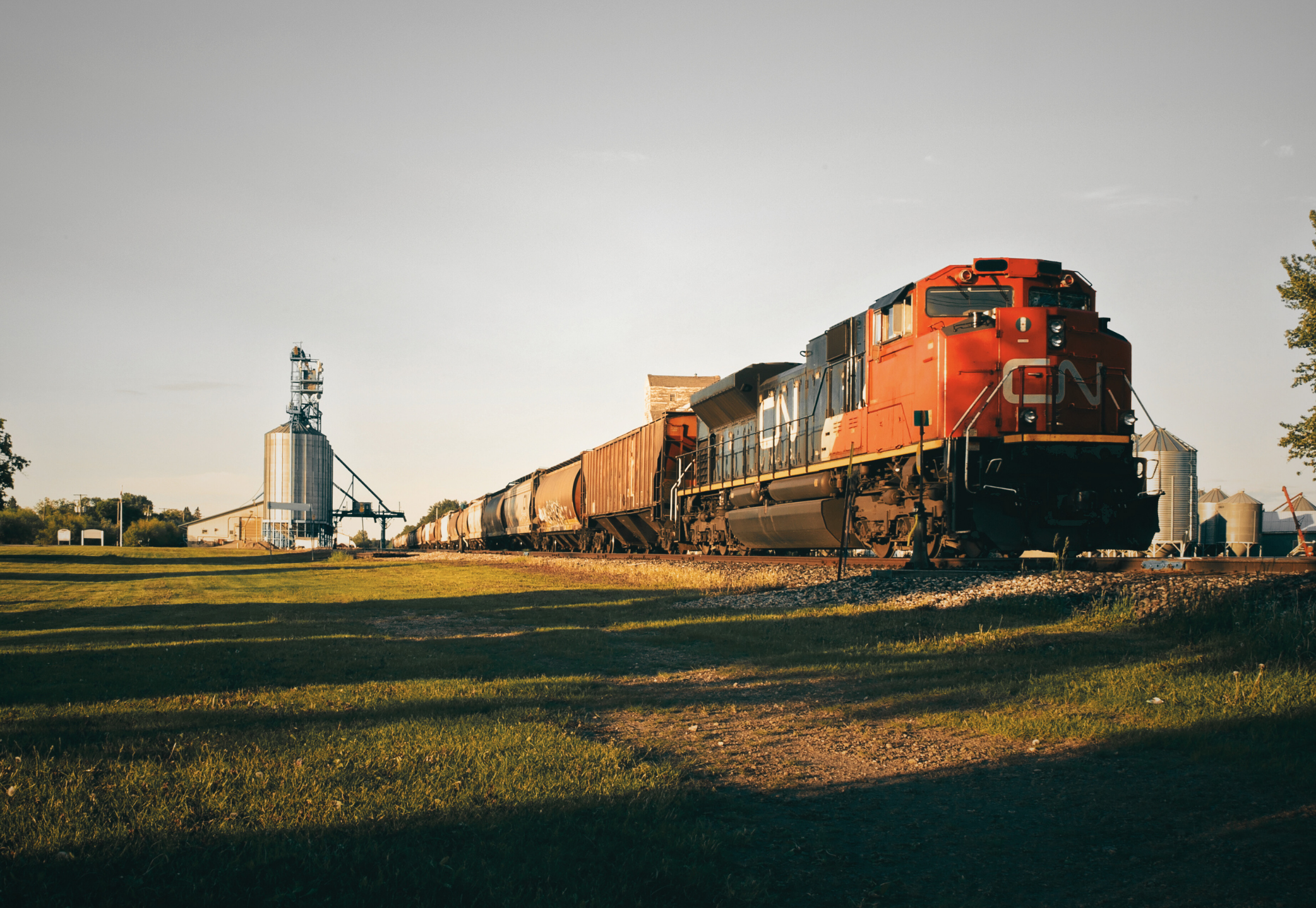 AgLPDesign_Image2a A red and black freight train engine with the letters 'CN' on the front travels along train tracks through an agricultural facility. The train is pulling several freight cars, positioned near a large metallic grain silo and other agricultural infrastructure used for grain loading. The surrounding area includes trees and a grassy field, with lighting suggesting late afternoon or early evening.